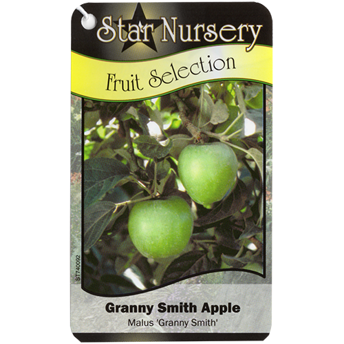 Star Nursery Belle Chasse - Granny Smith Apple