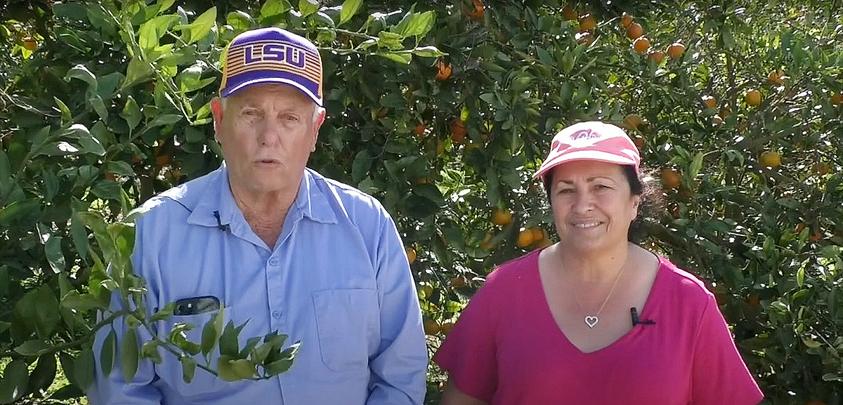 Star Nursery Belle Chasse - Joe and Dawn Ranatza